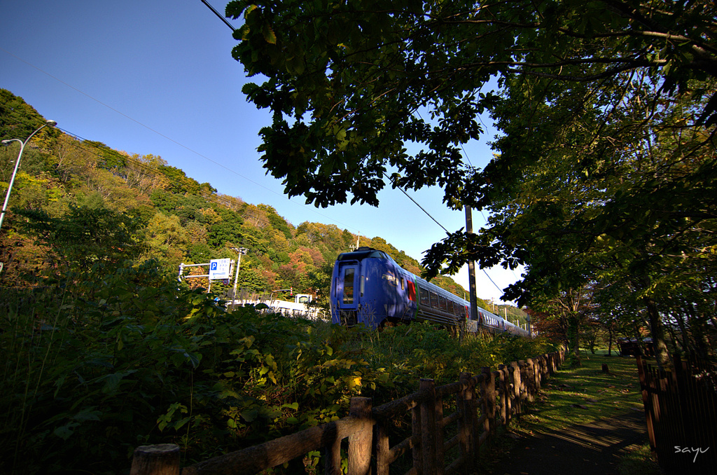 DSC_0169.NEF