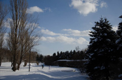 Snow and forest ３