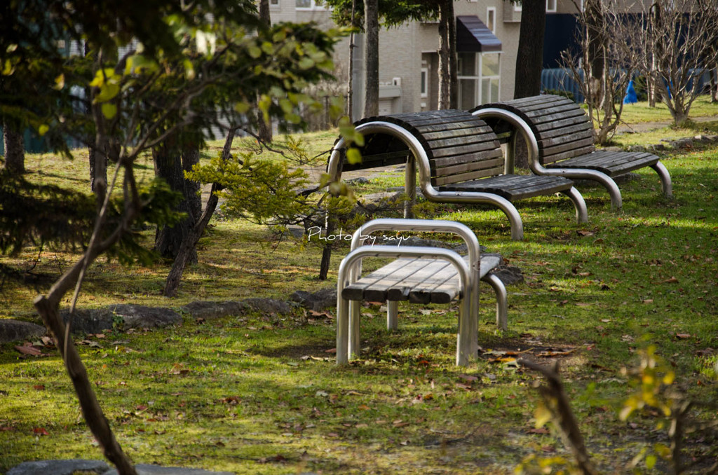 公園-2
