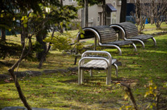 公園-2