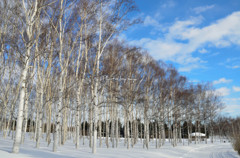 前田森林公園-2