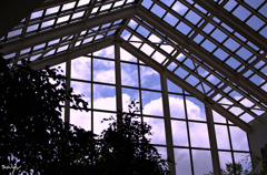 ガラスの向こうの雲