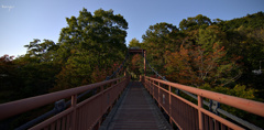 橋　２