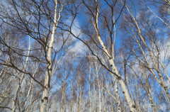前田森林公園-3