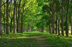 ここを抜けたら・・・