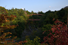 DSC_0025.NEF