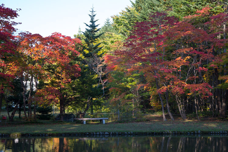紅桜公園２