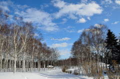 前田森林公園-1