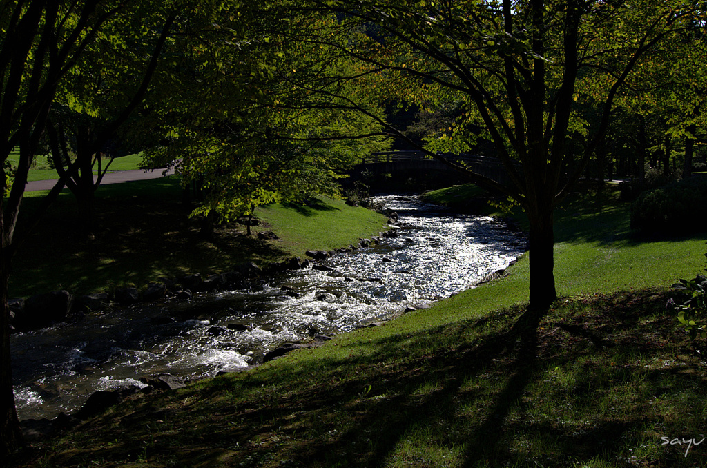 公園の川