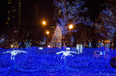 イルミネーション-2