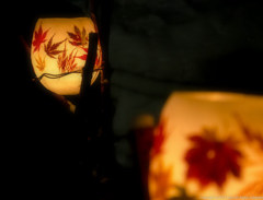 あたたかい灯り１