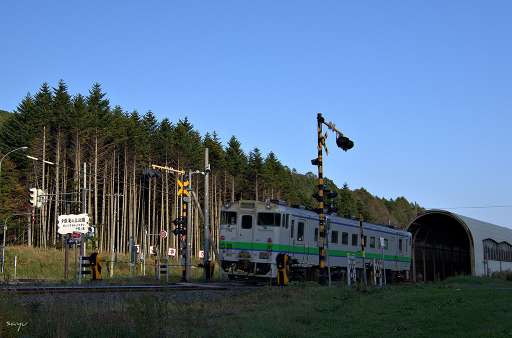 DSC_0186.NEF