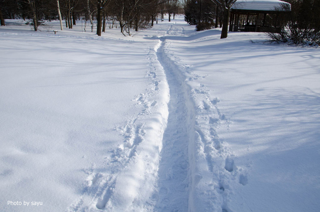 雪道