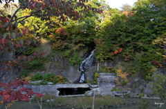 DSC_0022.NEF