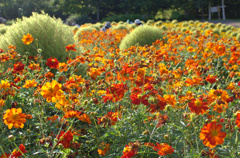 20120913-DSC_0135.NEF