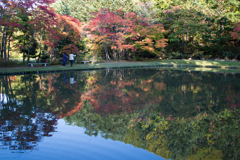 水面の紅葉3