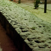 雪-4