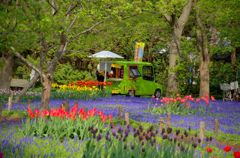 アイスクリームのお店