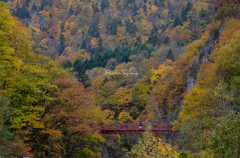 紅葉の山深く