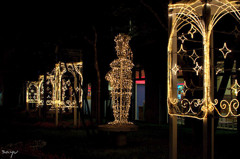 夏のイルミネーション