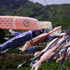 和歌山　#5