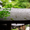 鳥取　#3