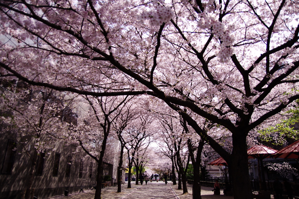 京都　#2