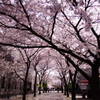 京都　#2