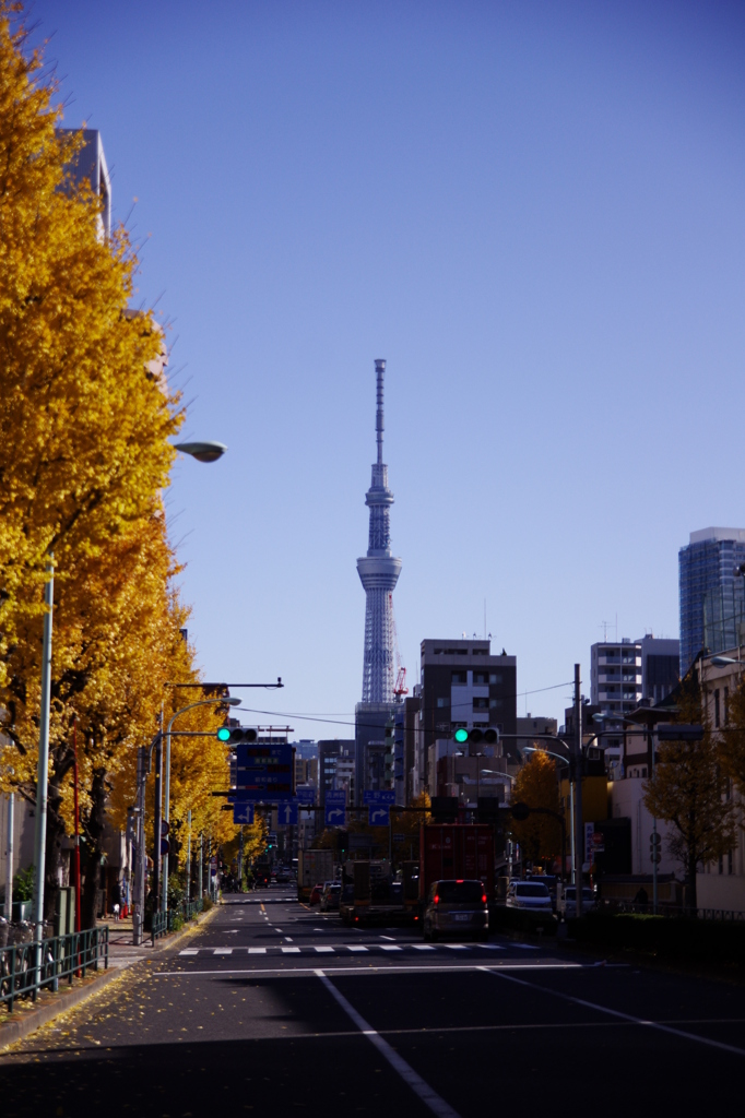 東京　#1