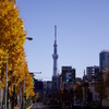 東京　#1