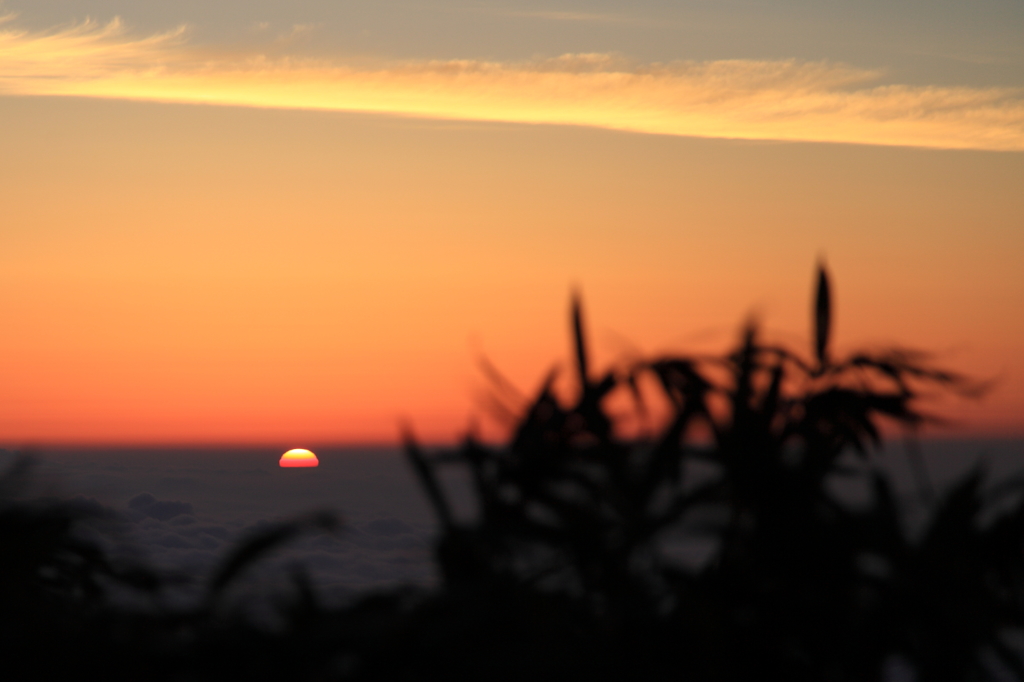 おちゃめな太陽