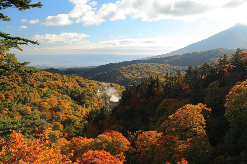 岩手紅葉便り③