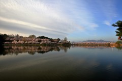 東北の春　その２