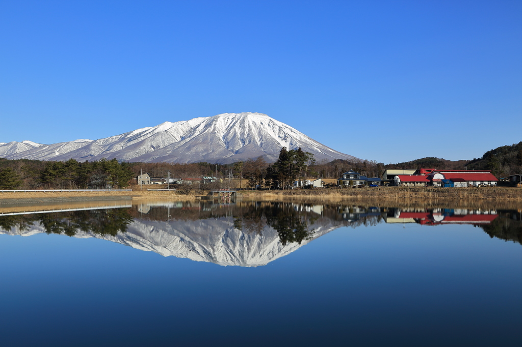 穏やかな朝