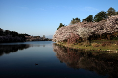 高松の池の場合