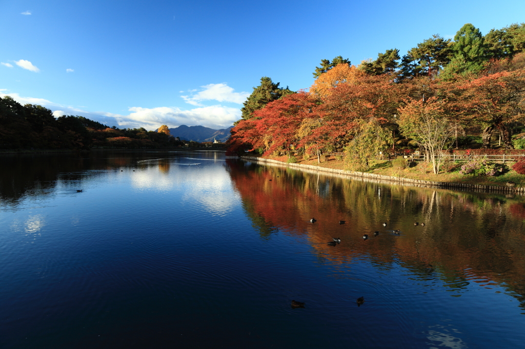 憩いの場