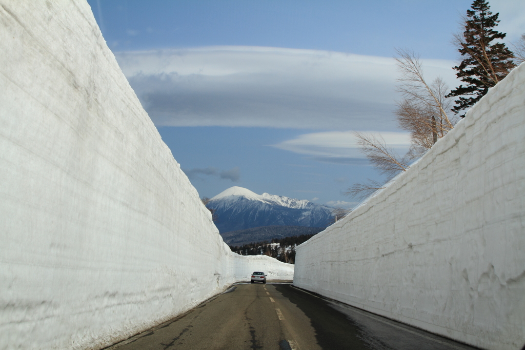 雪の回廊・・・八幡平