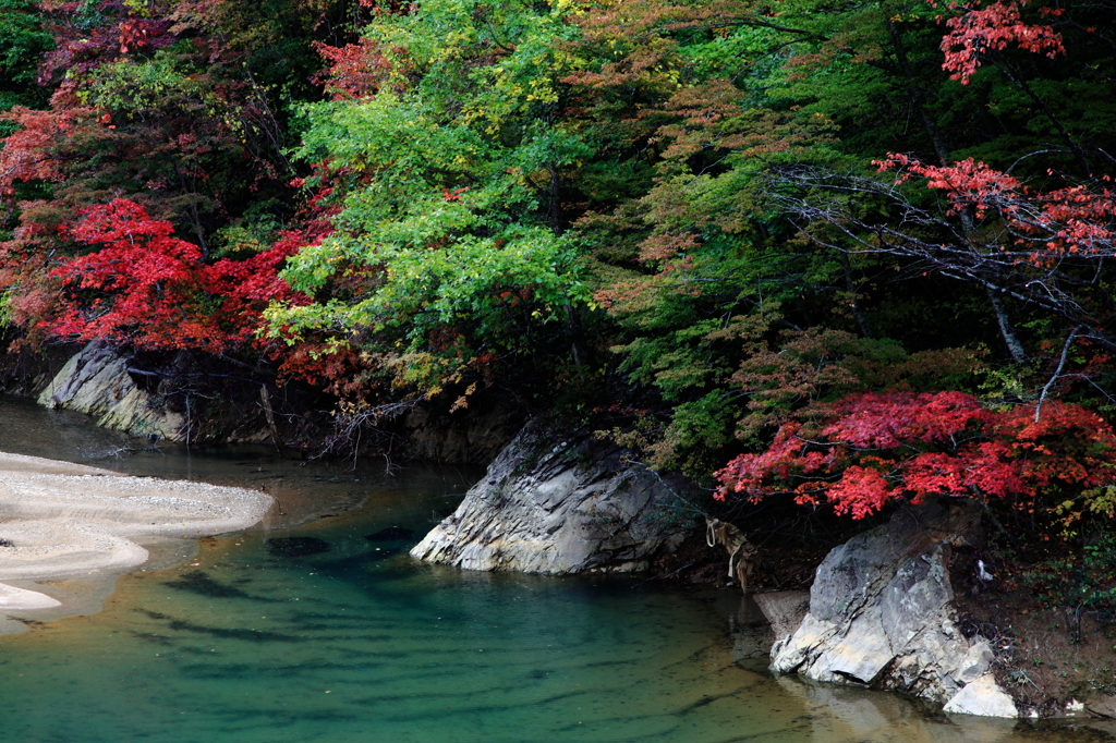 岩手紅葉だより①