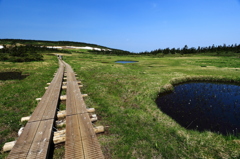 八幡平山頂遊歩道