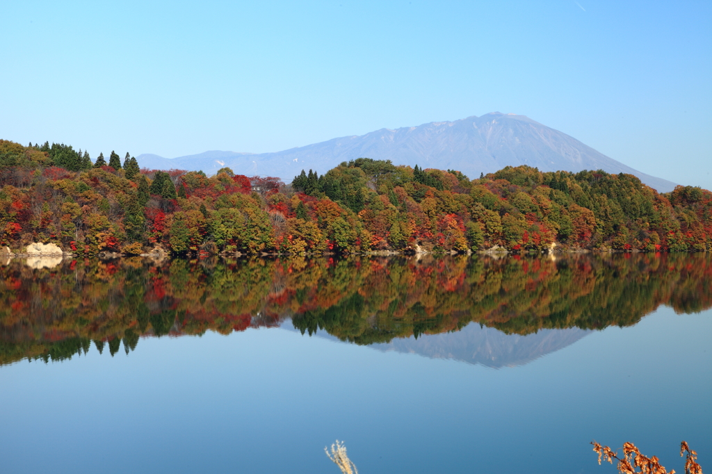 紅十点