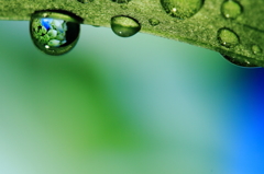 梅雨を閉じ込める