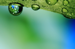 梅雨を閉じ込める