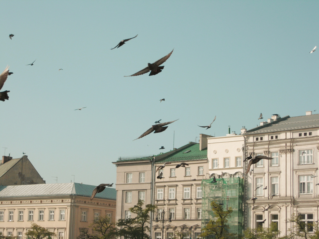 Krakow