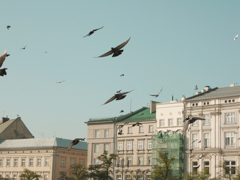 Krakow
