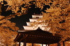桜満開！！鶴ヶ城