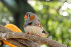 安佐動物公園で