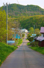 田舎道