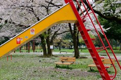 桜のある風景