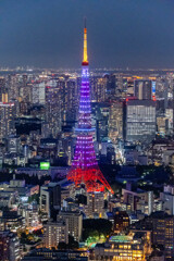 インフィニティ・ダイヤモンドヴェール「東京タワー」