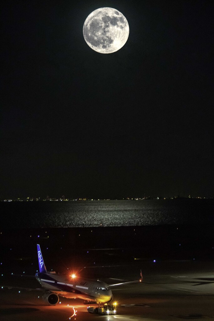 満月の夜